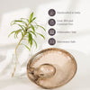 Aaraya Studio Pottery Chip & Dip Tray - Lavender - Errai Homes